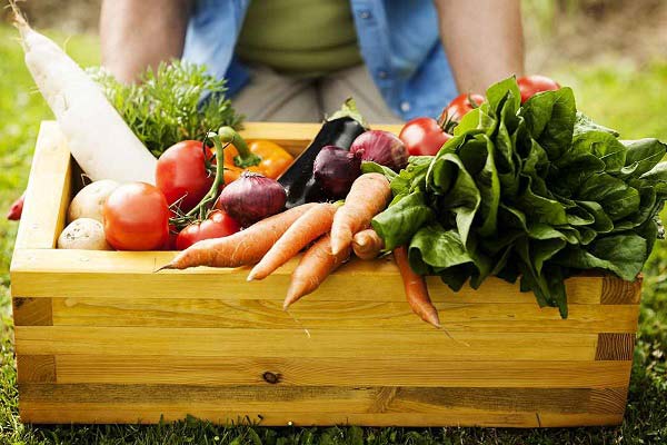 مصرف سبزیجات مفید برای بدن